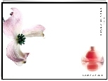 Issey Miyake, kwiat, flakon, perfumy